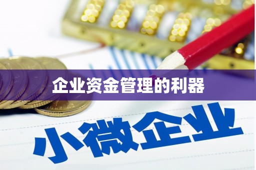 炉霍企业资金管理的利器